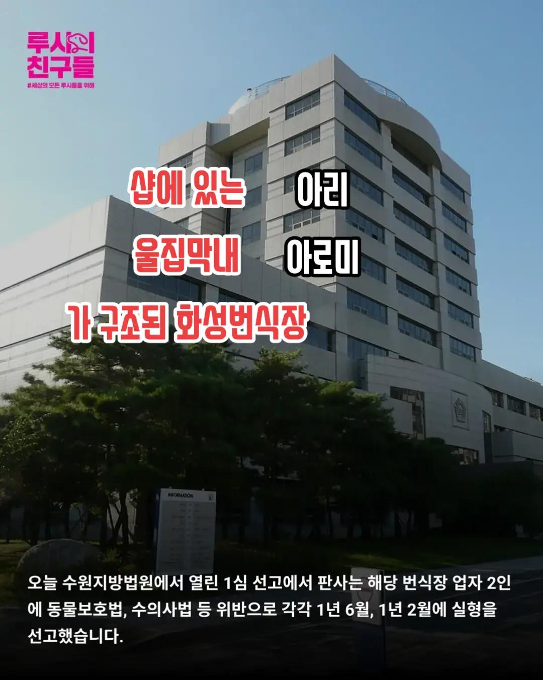 @🐶🐶엄지맘🦮🐕&zwj;🦺🐩