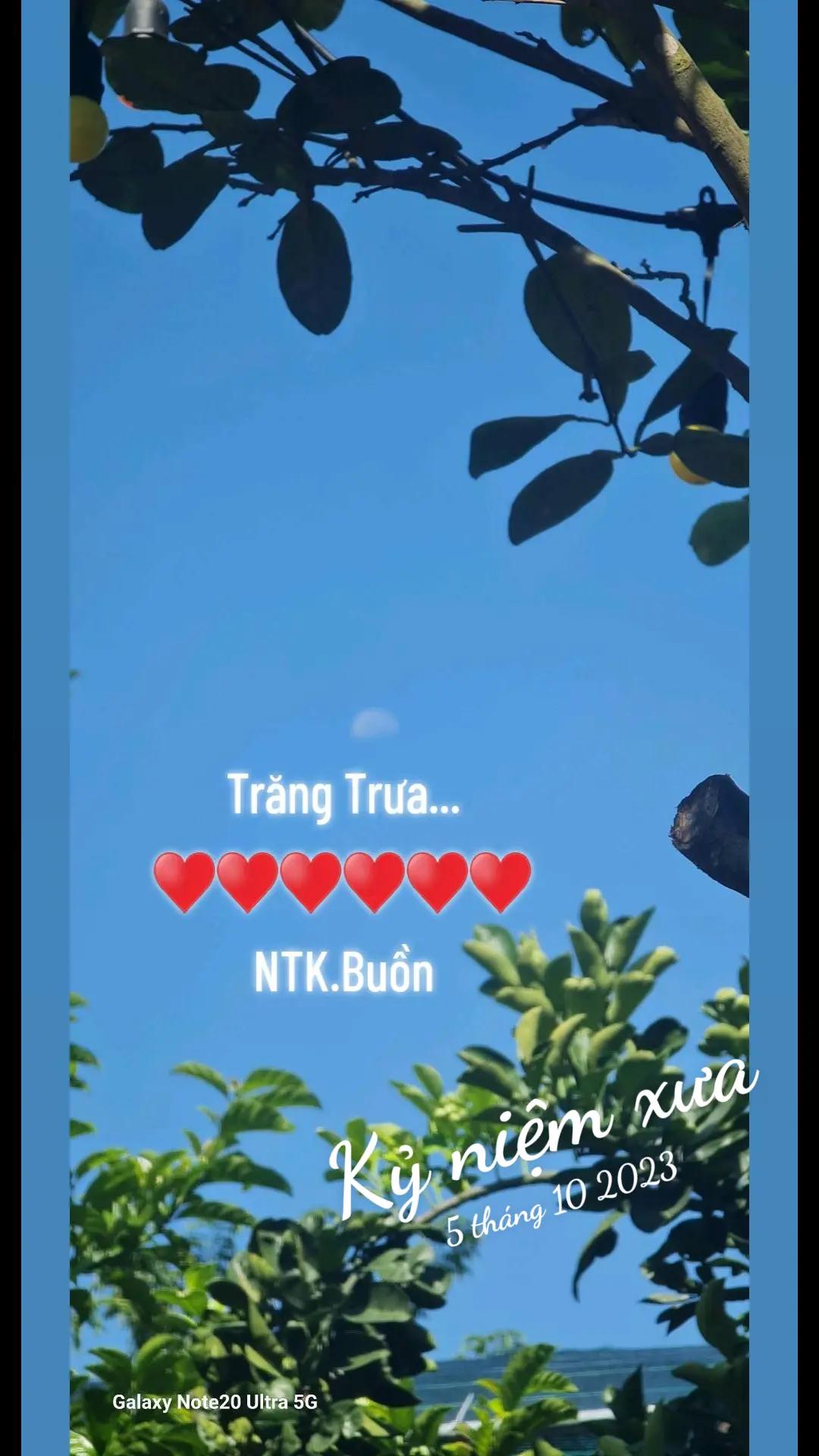 @๐ฆ๐ฆ๐๐ญ๐Ô๐น๐ฒ๐๐ฆ๐ฆ