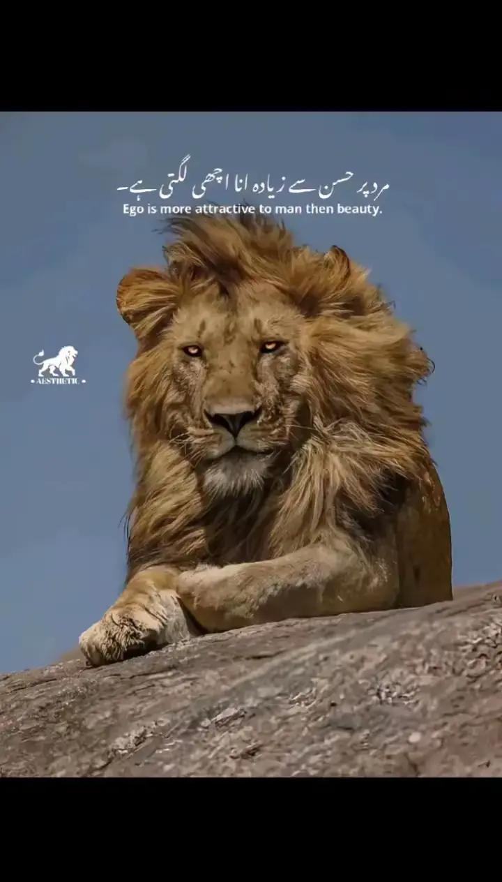 @👑Ladla🦁بھٹی❌