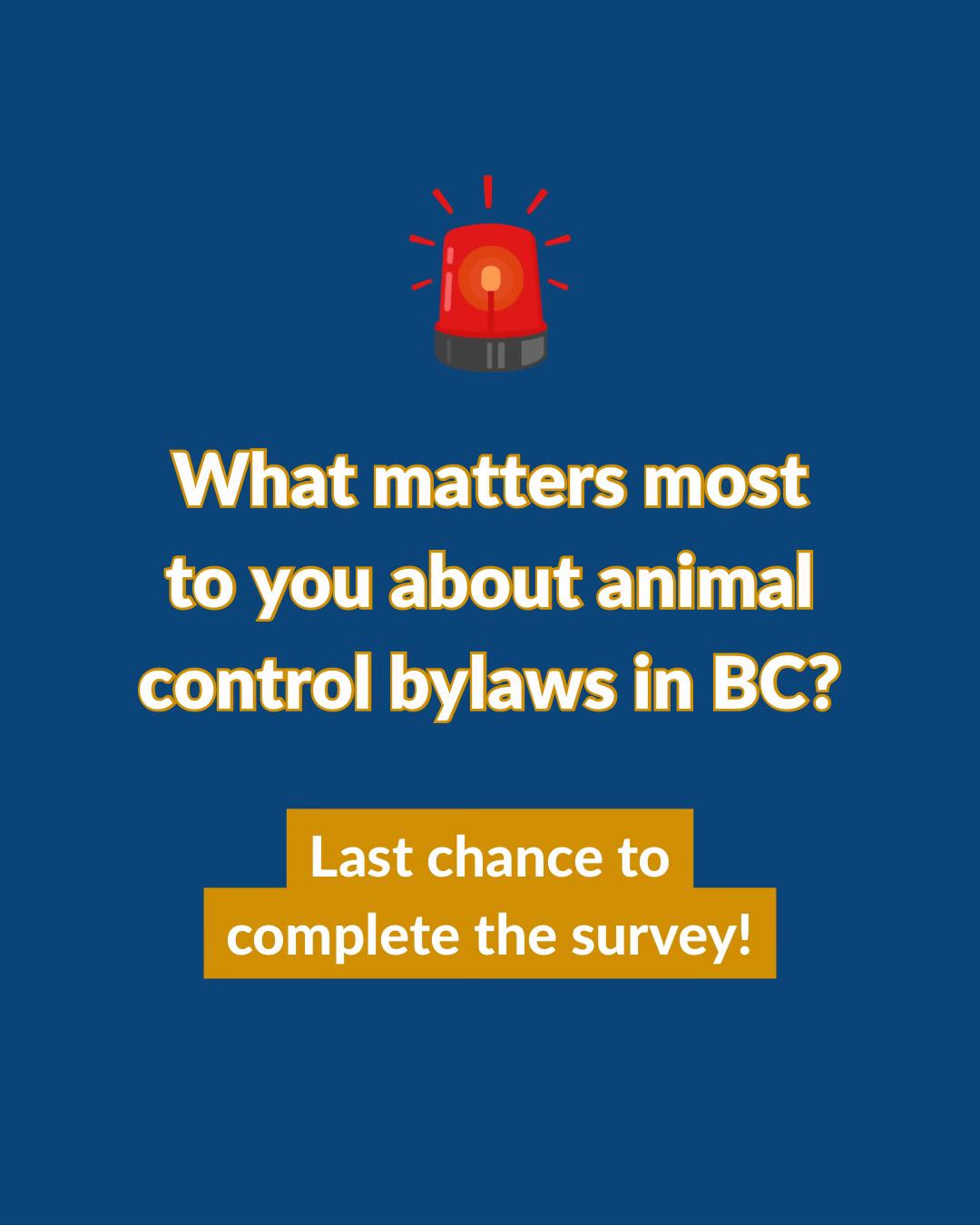 @BC SPCA