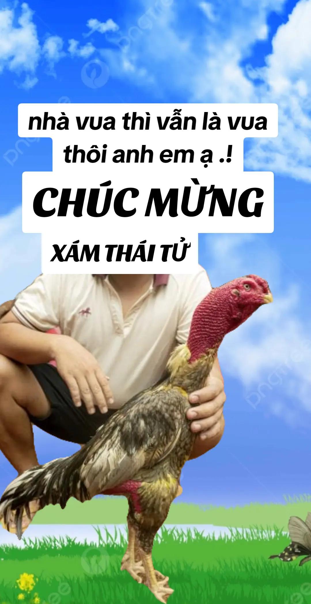@nông thành trung
