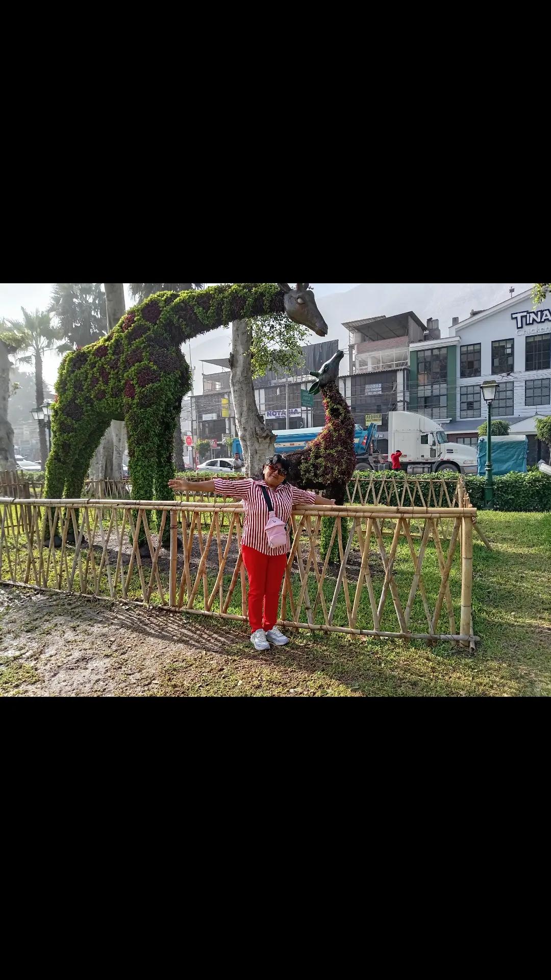 @Andrea Ipanaque