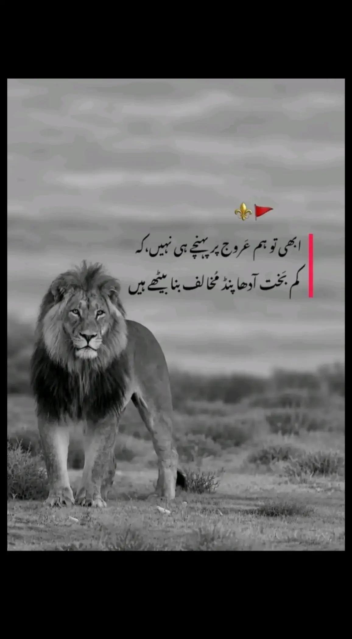@HUSNAIN LANGRIYAL JATT👑