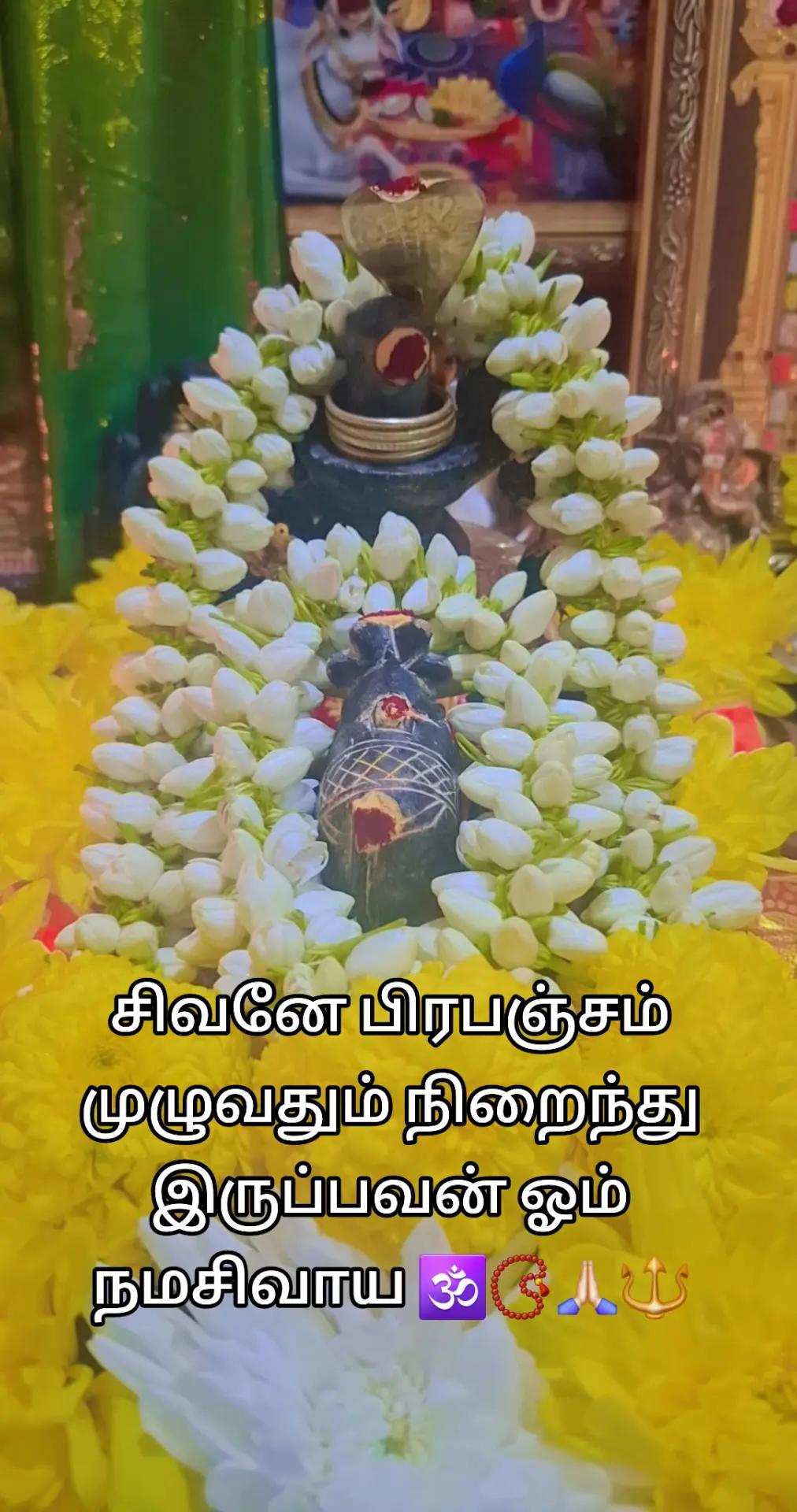 @🕉🙏ஈசனின்🔱மகள்🔱ப்ரியா🕉🙏