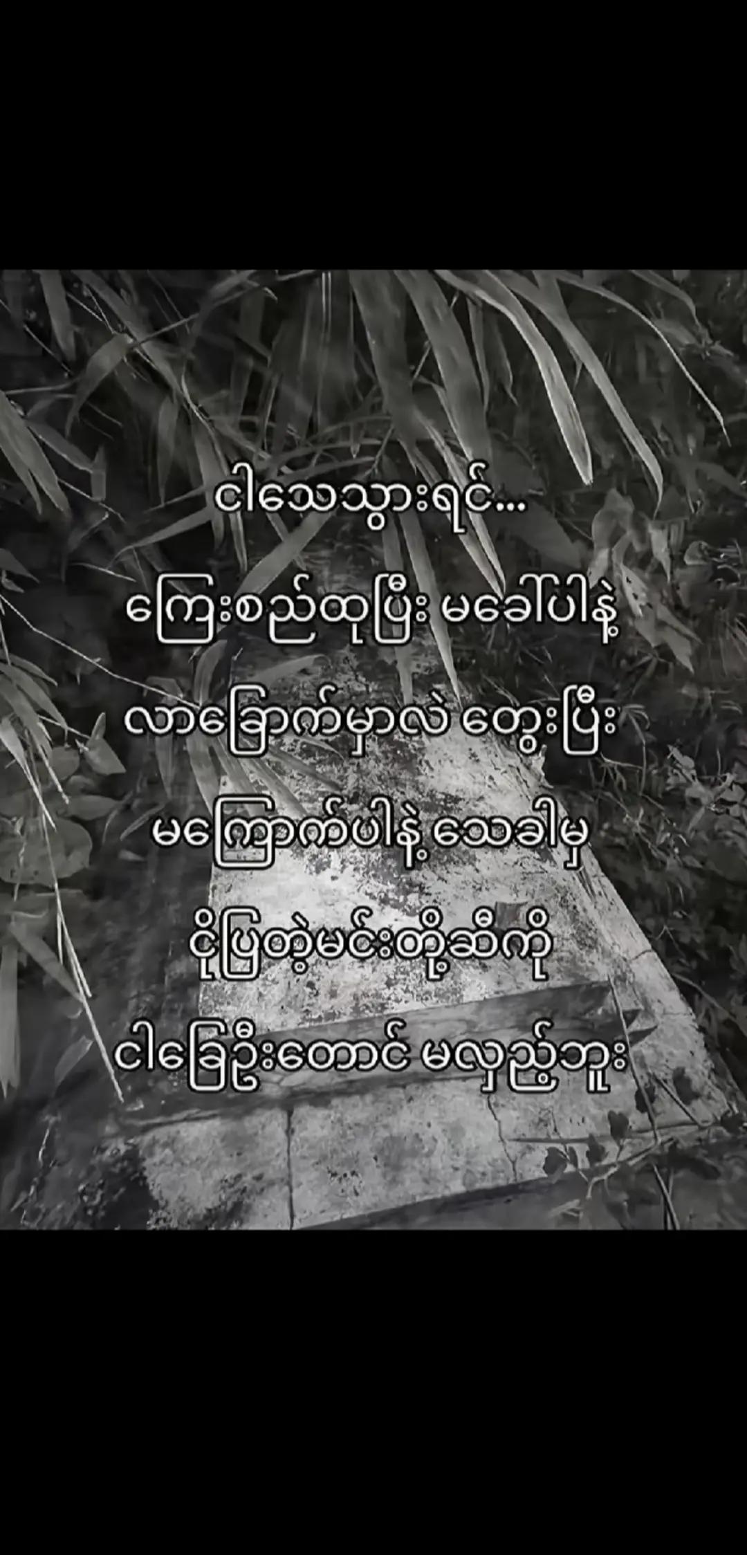 @💢💢(Myat Thu)💢💢