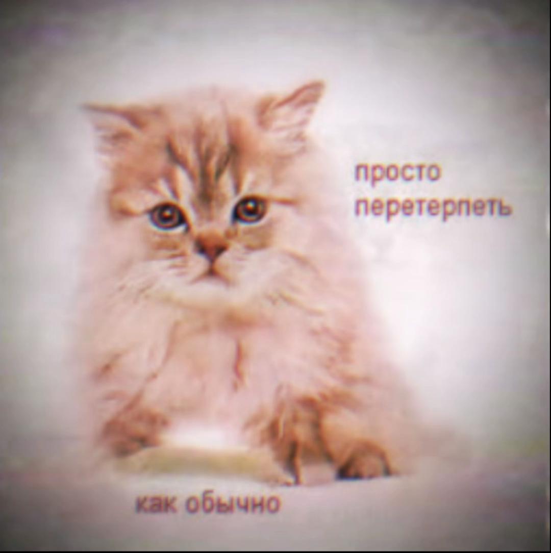 @проклятая