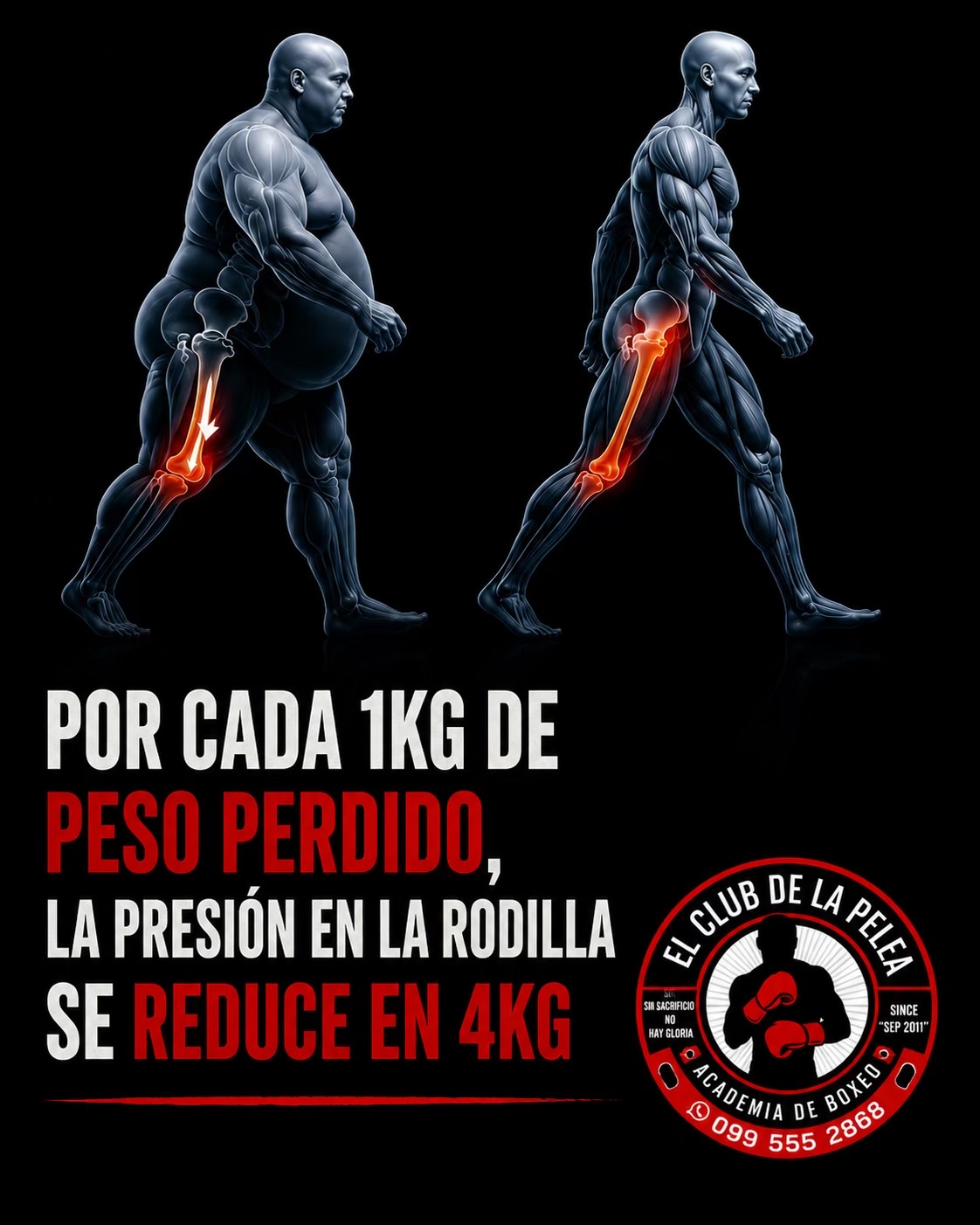 @Boxeo en Cuenca