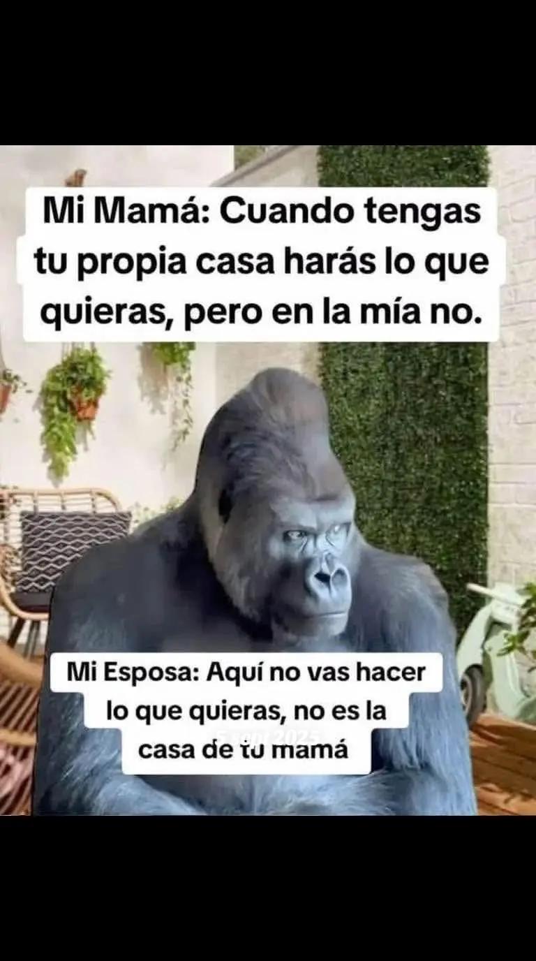@Viviana🥰Grace