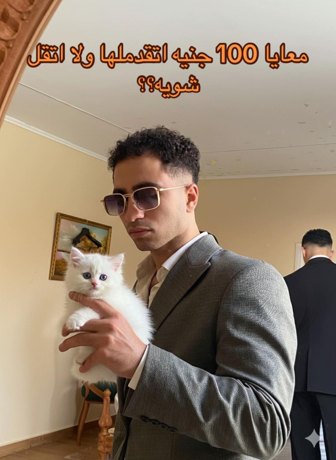@mushahmedadel