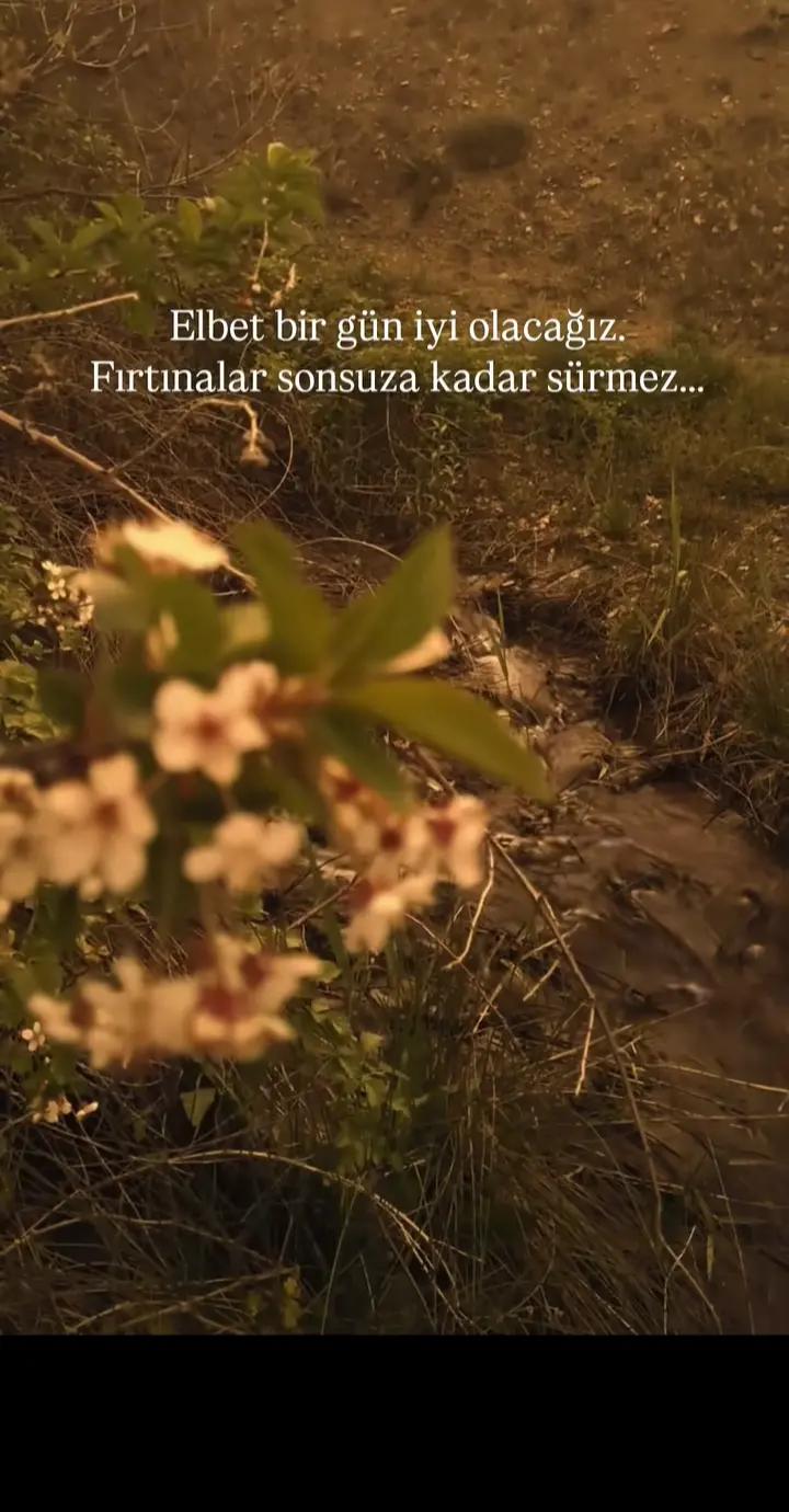 @Ece soner
