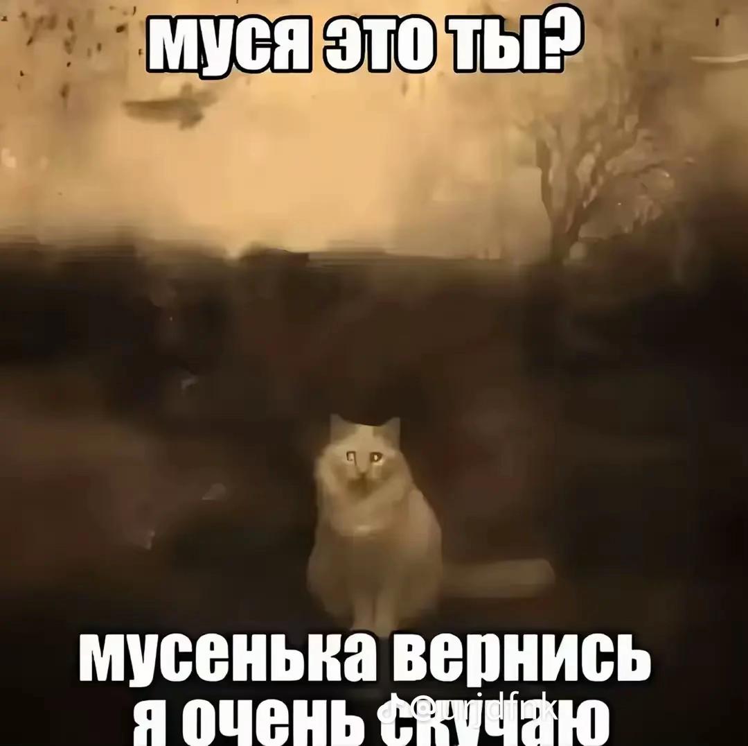 @метарва
