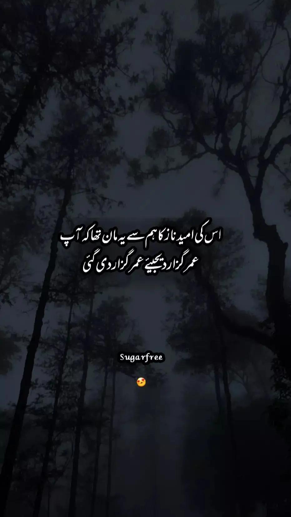 @Taimur Zaheer 🤍