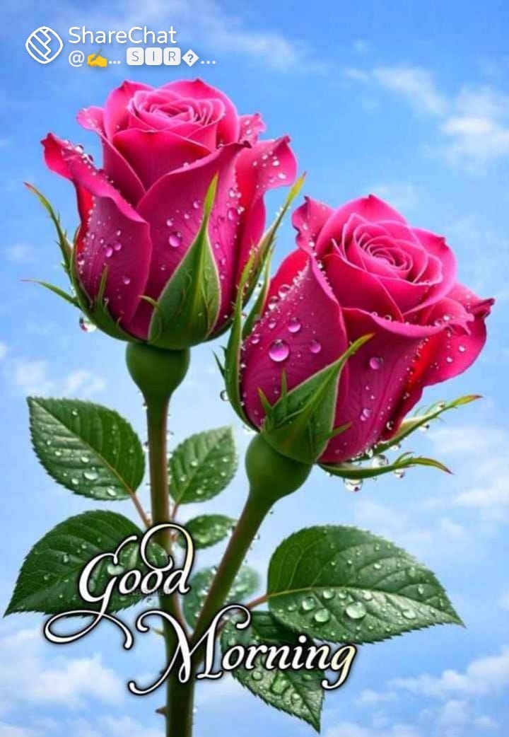 @gmathi123