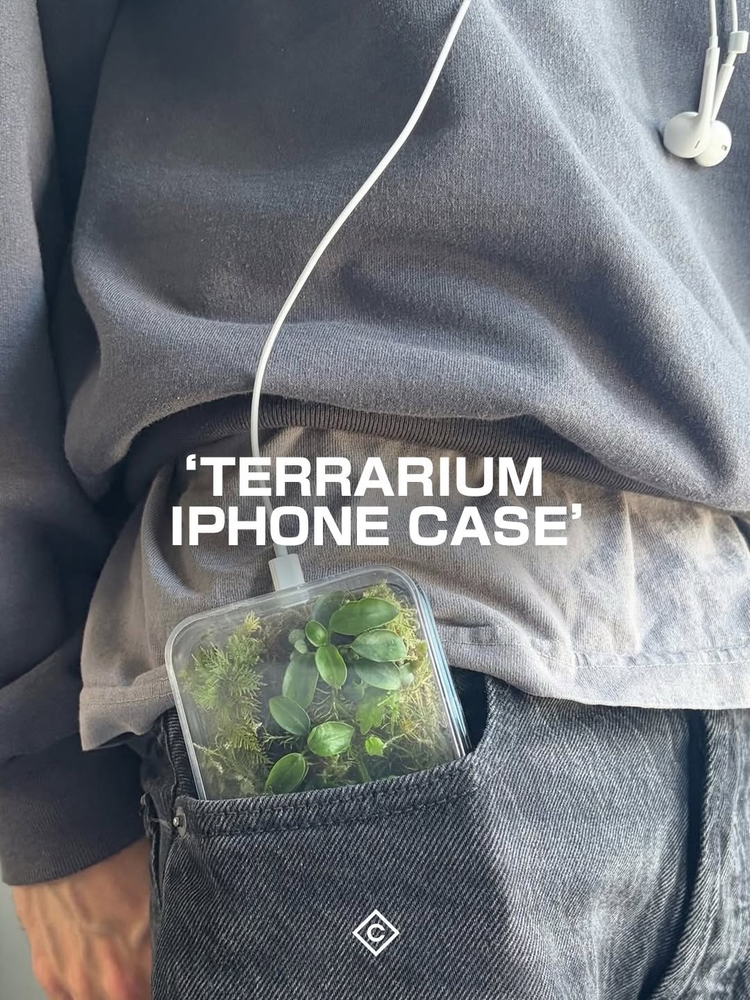 @Contemporary 100