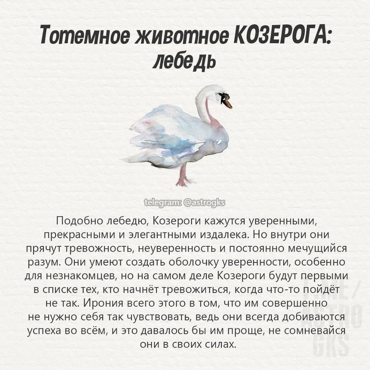 @алкаши на пьянке