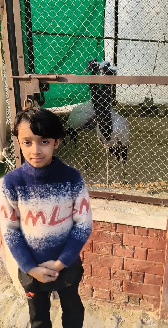 @RANA SARIM ❤️