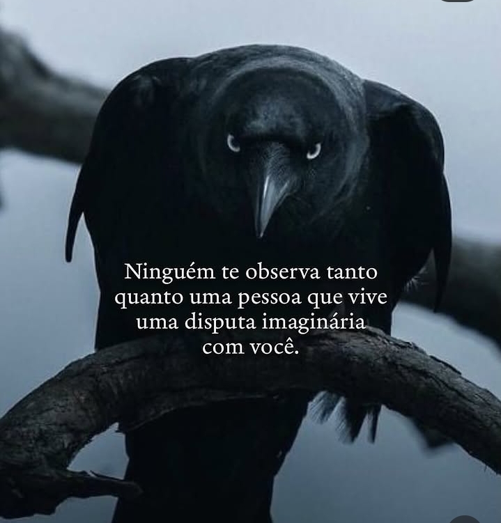 @Urso 🐻 Master
