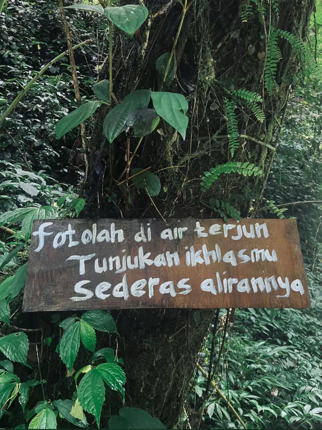 @Refan Firzi