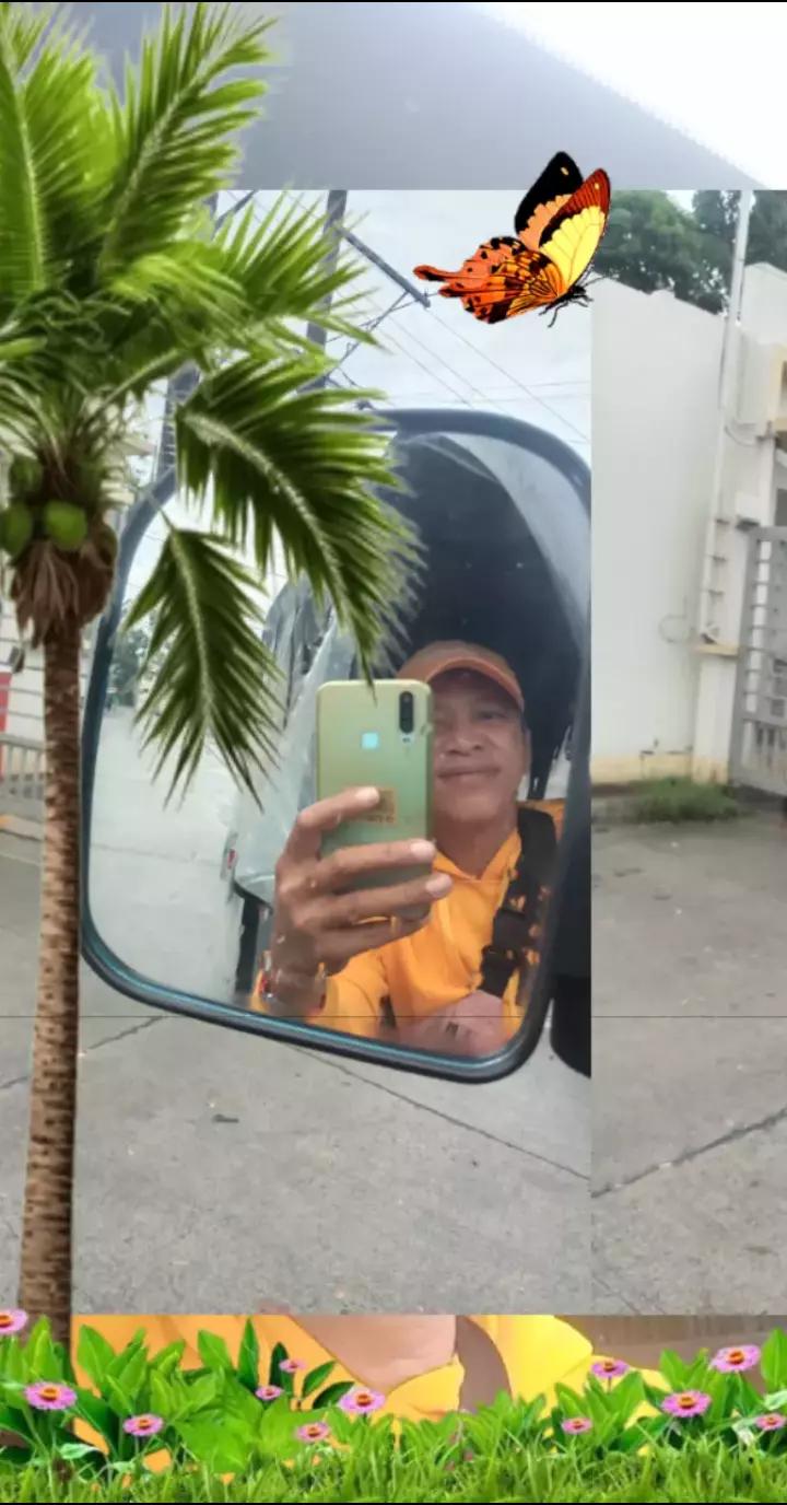 @mango Jose