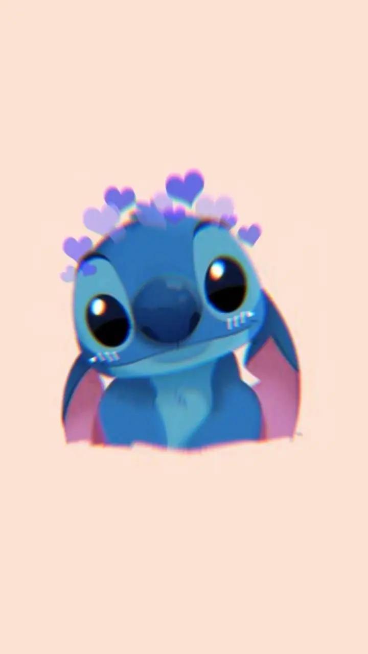 @🌺🦩