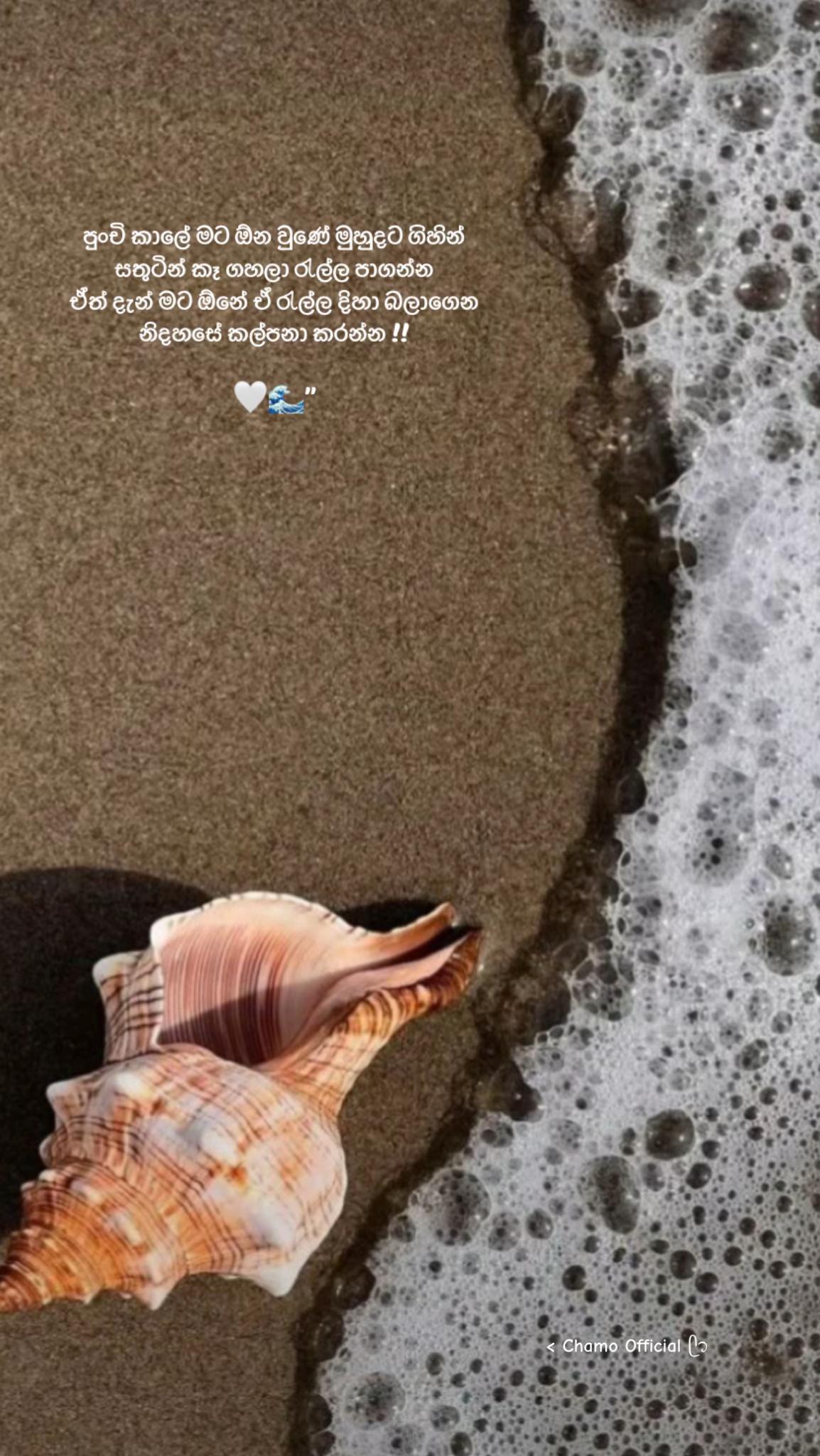 @< 𝐂𝐡𝐚𝐦𝐨 ᥫ᭡