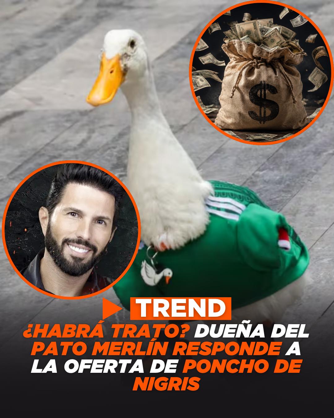 @EXA MONTERREY