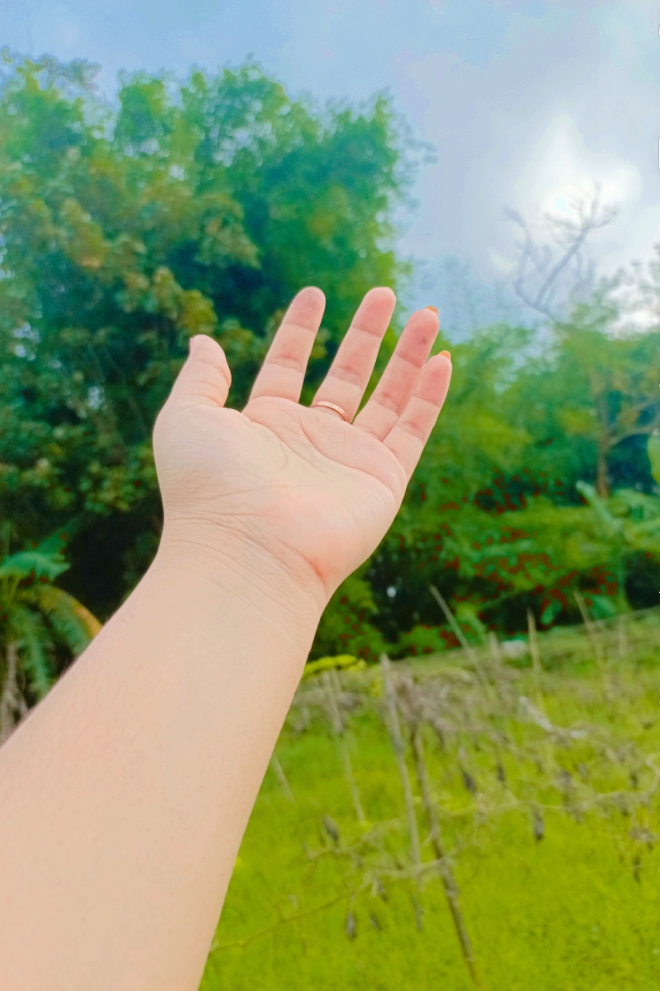 @আফরিদার আম্মু