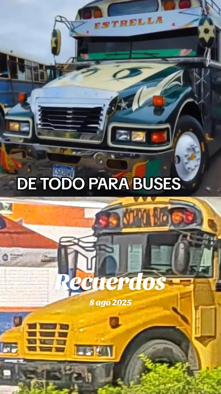 @Buses y Accesorios DG