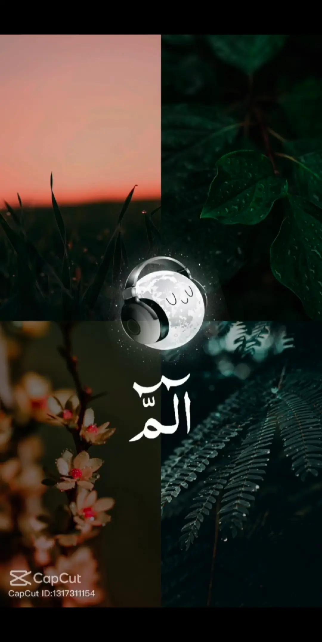 @AliRaza313