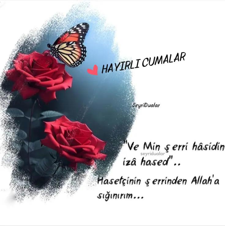 @Fatma Bolat