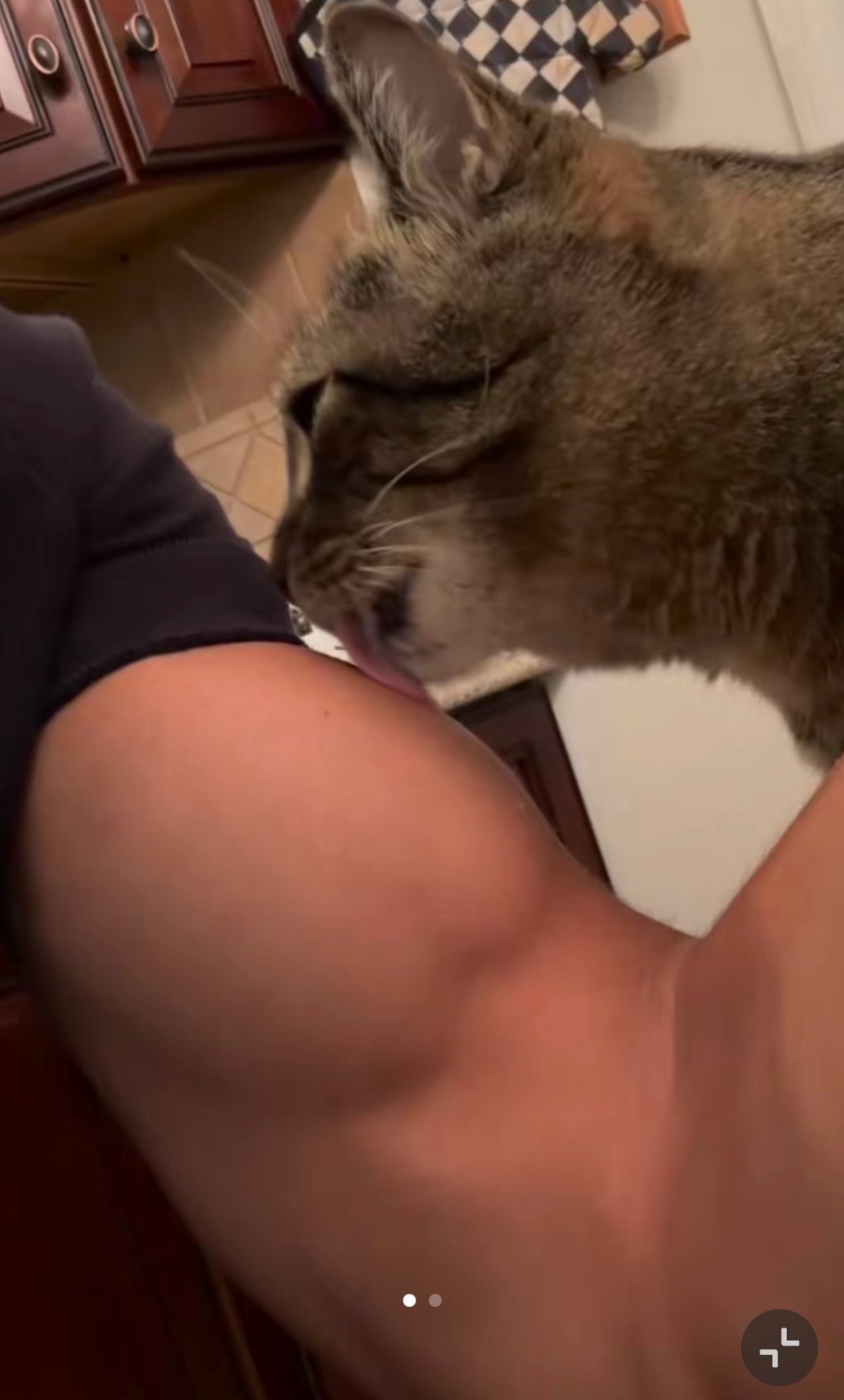@sneaky.888