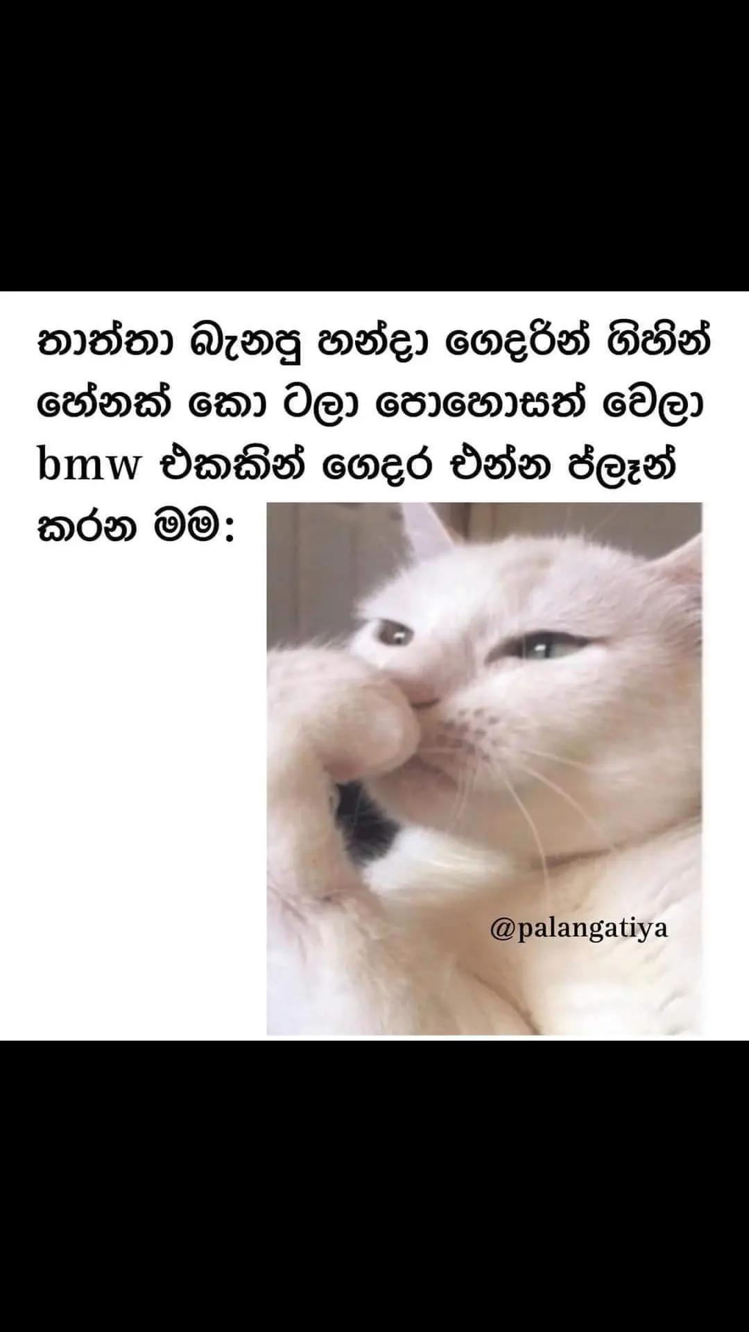 @nipuwa_editz_1