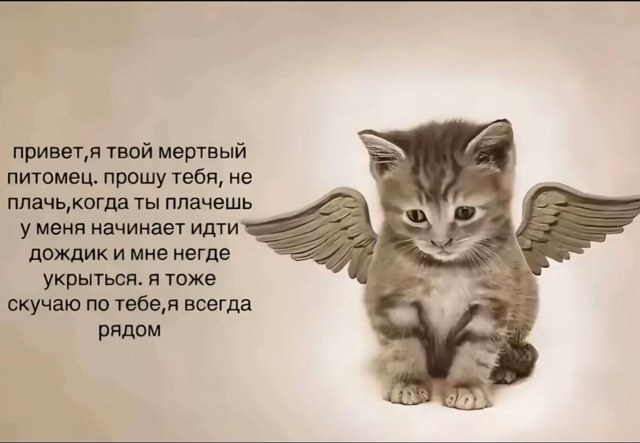 @мизофония