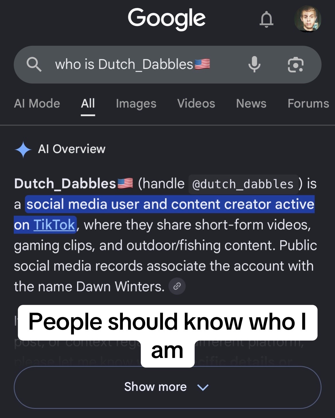 @dutch_dabbles🇺🇸