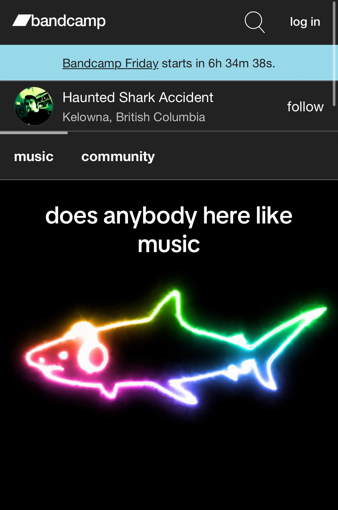 @hauntedsharkaccident