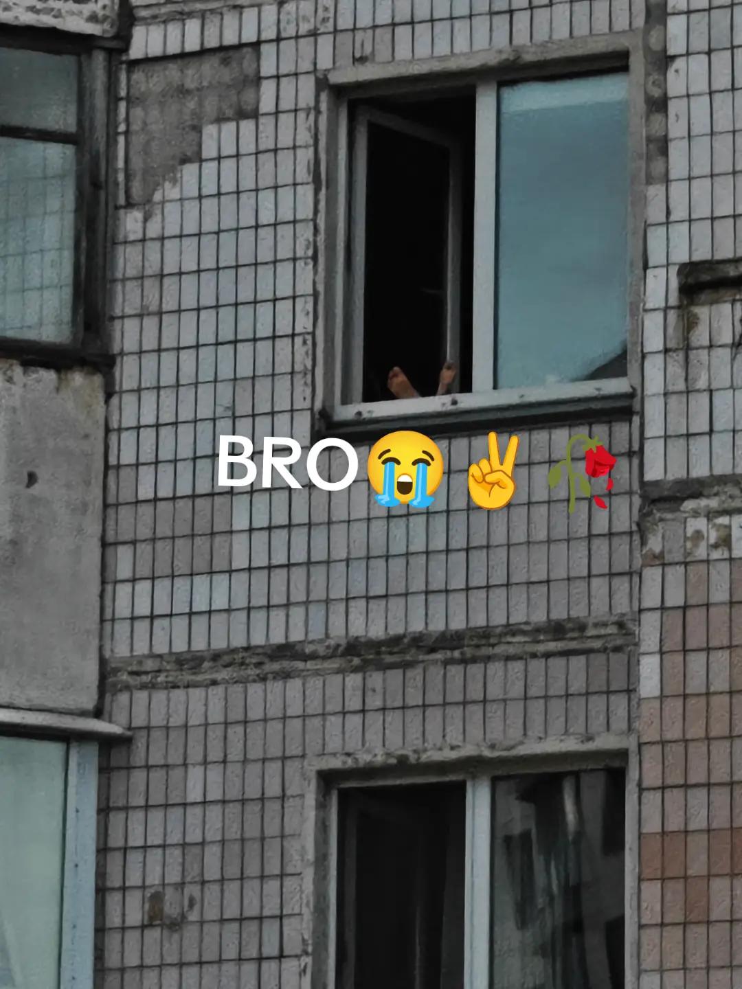 @CoolCat20146423