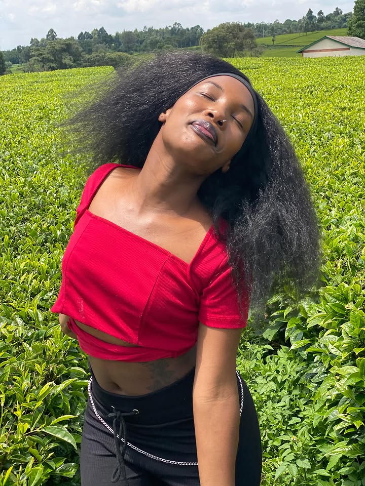 @254_baddies