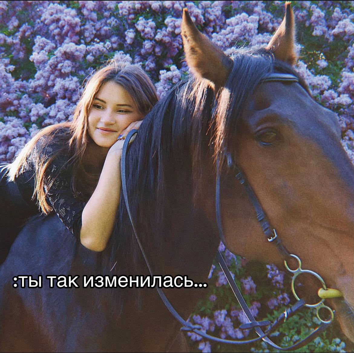@queen.vibe_
