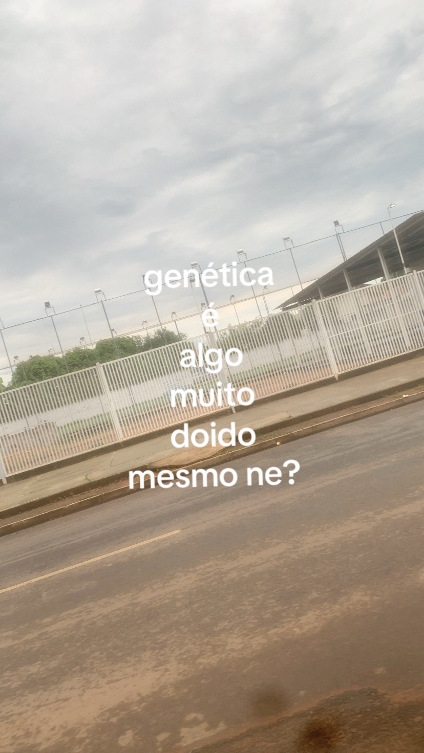 @sarinha
