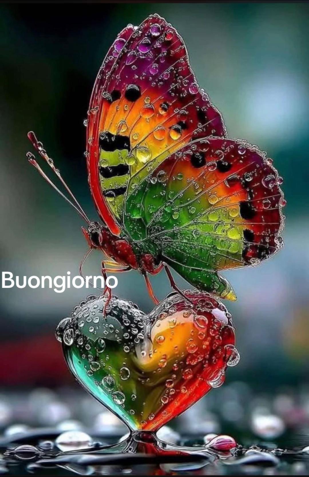 @rosariorizzolo578