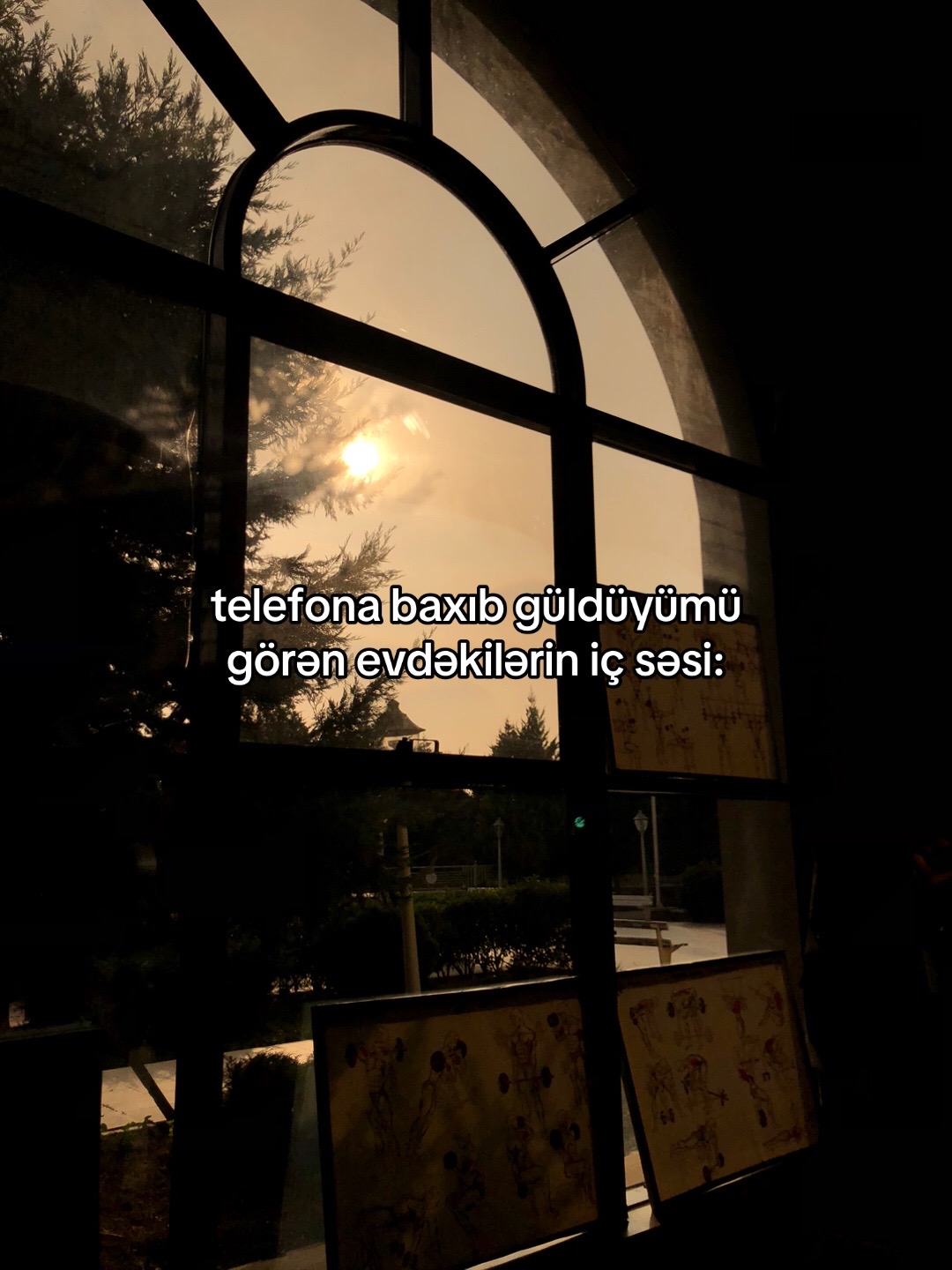 @penahovv.17