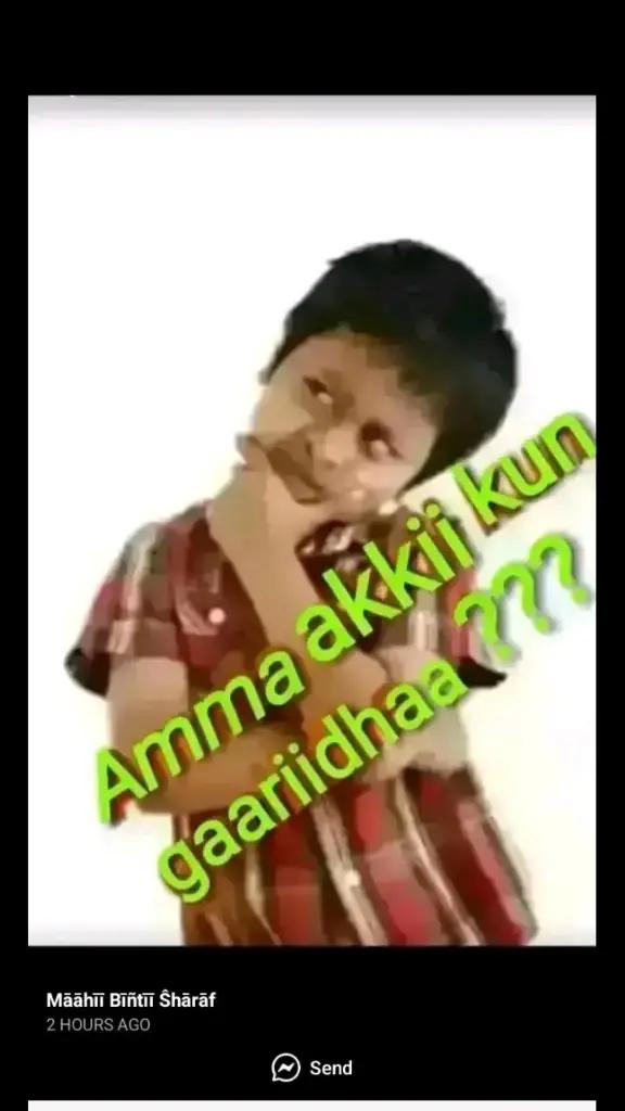 @Sabontuu Arsii