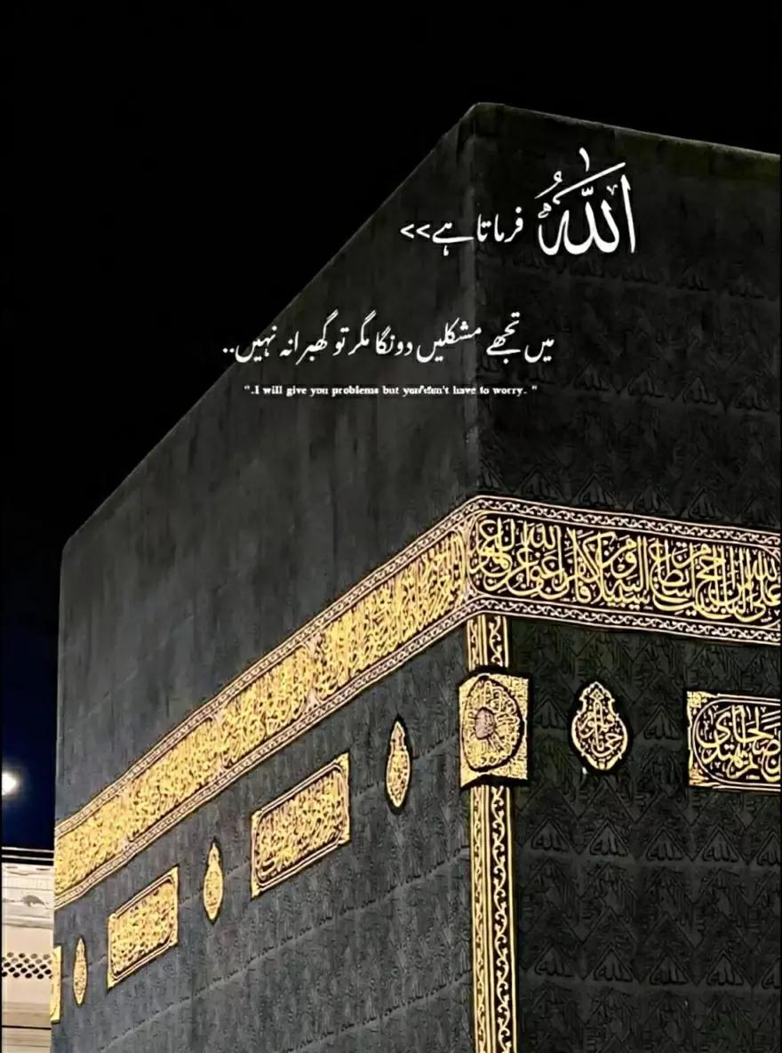 @🚩شاہ جی کہتے ہیں🚩