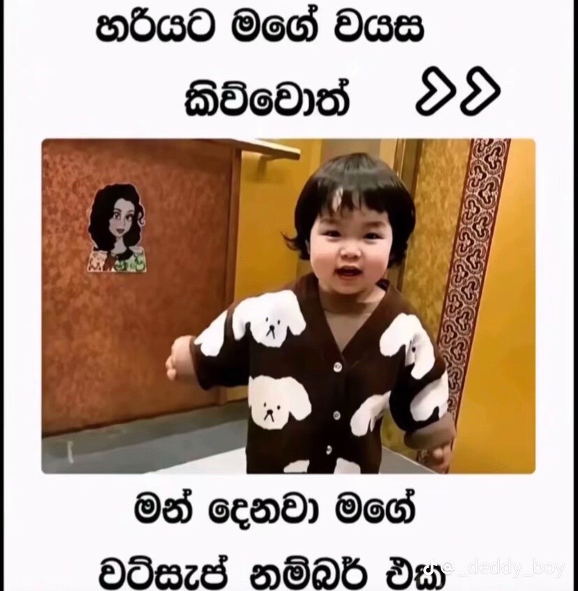 @โค๏ธ๐ฅ๐ต ๐ผ ๐พ ๐จ๐๐๏ธ