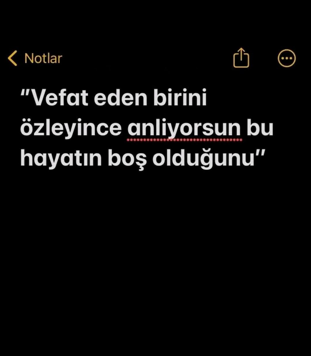 @kemalizmisavunacagiz