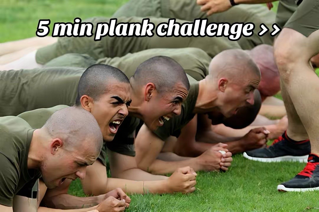 @Fitness-Z