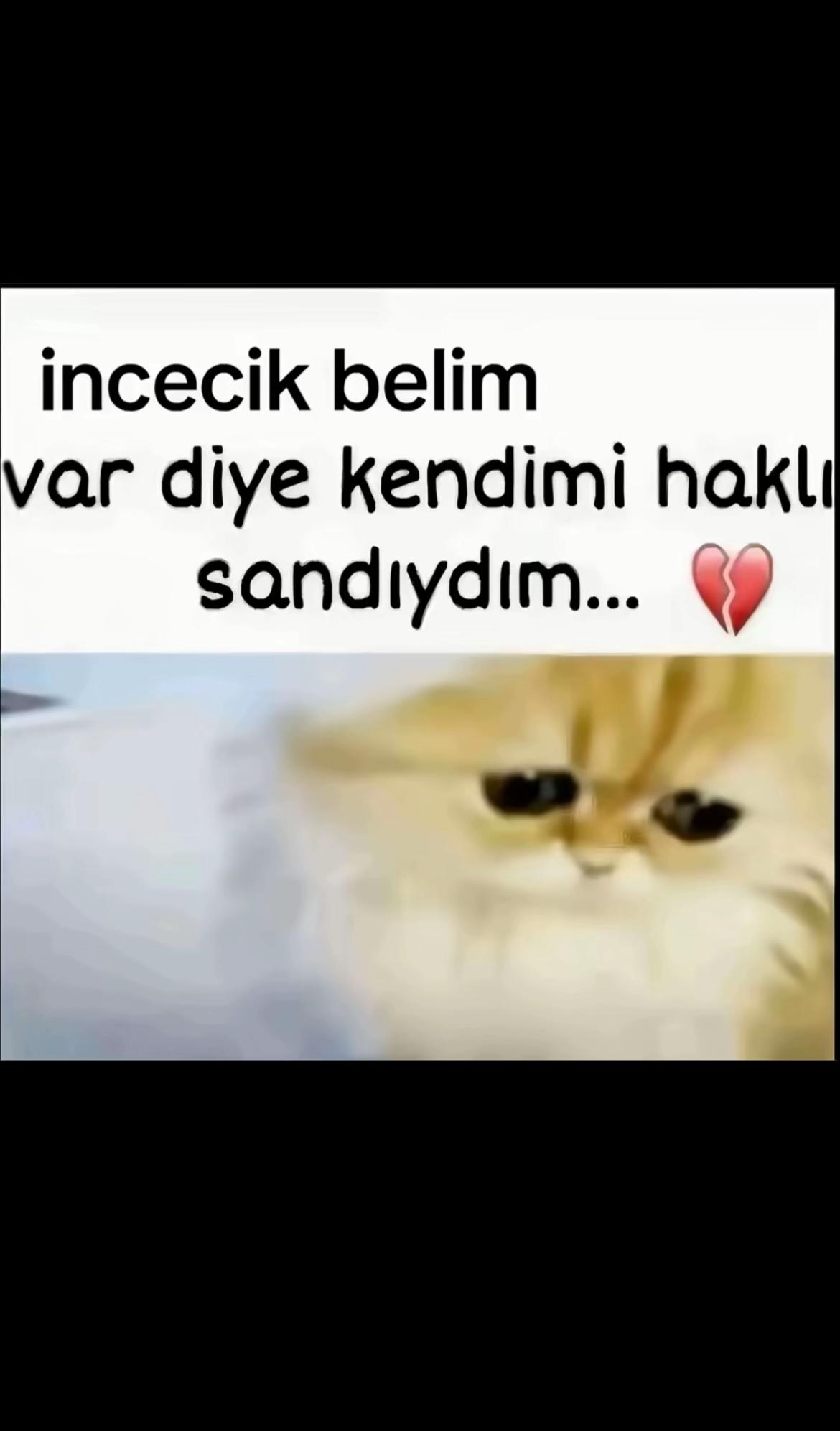 @eylullorj