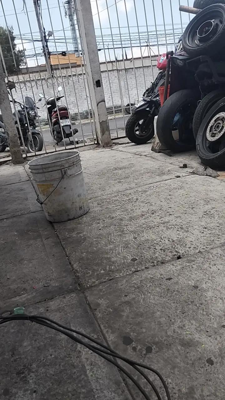 @flaquita🐱