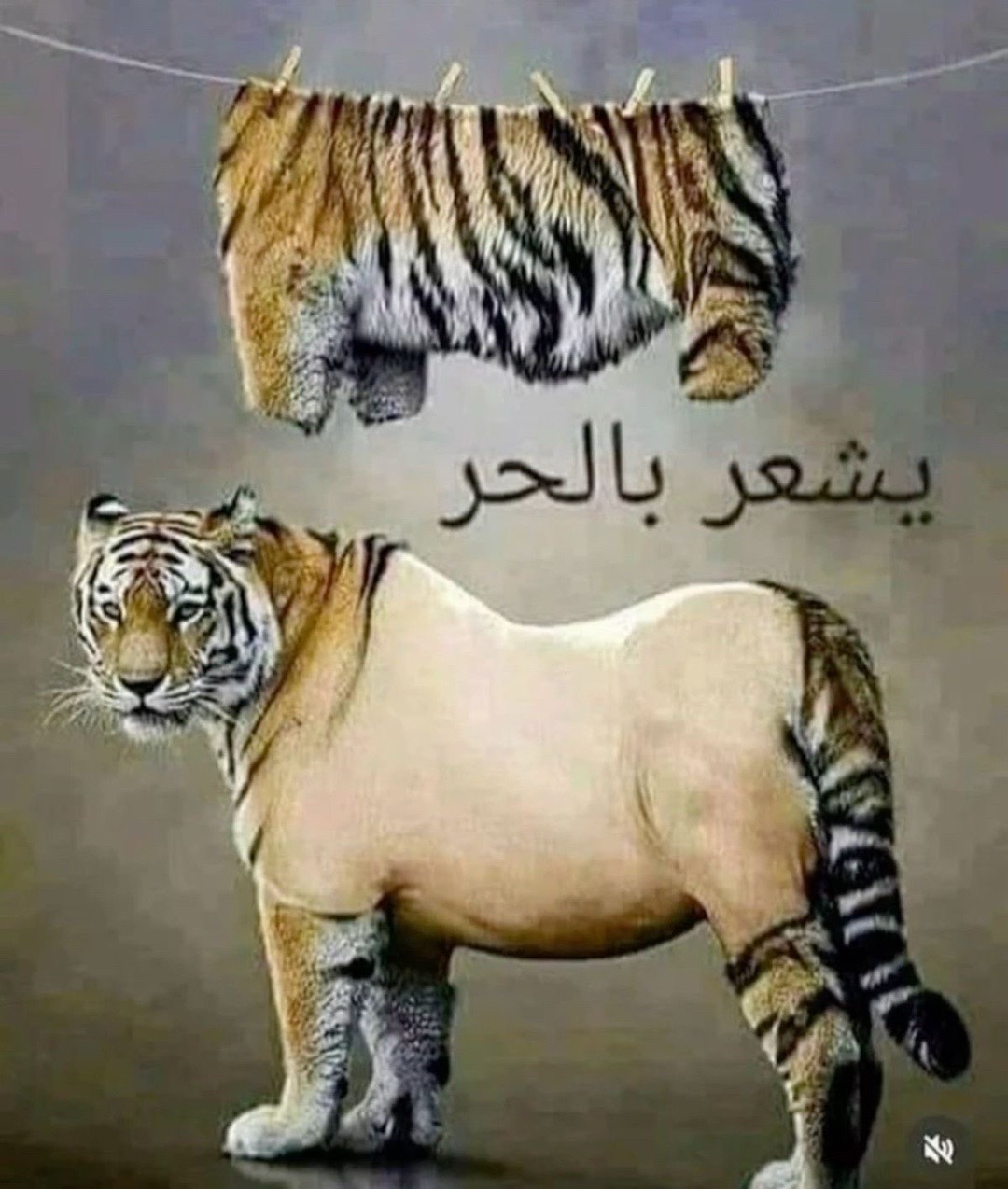 @عبآسـ العنيف