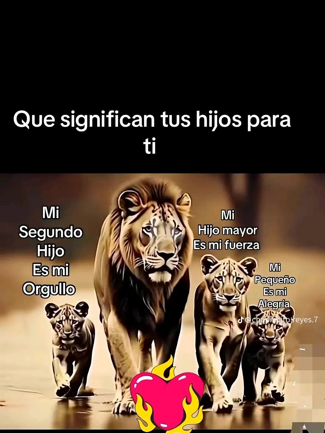 @Luis Esteban Vargas